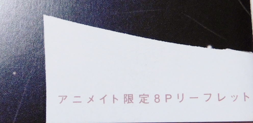 ストレイバレットベイベー Stray bullet baby アニメイト限定特典小冊子 市川けい_3