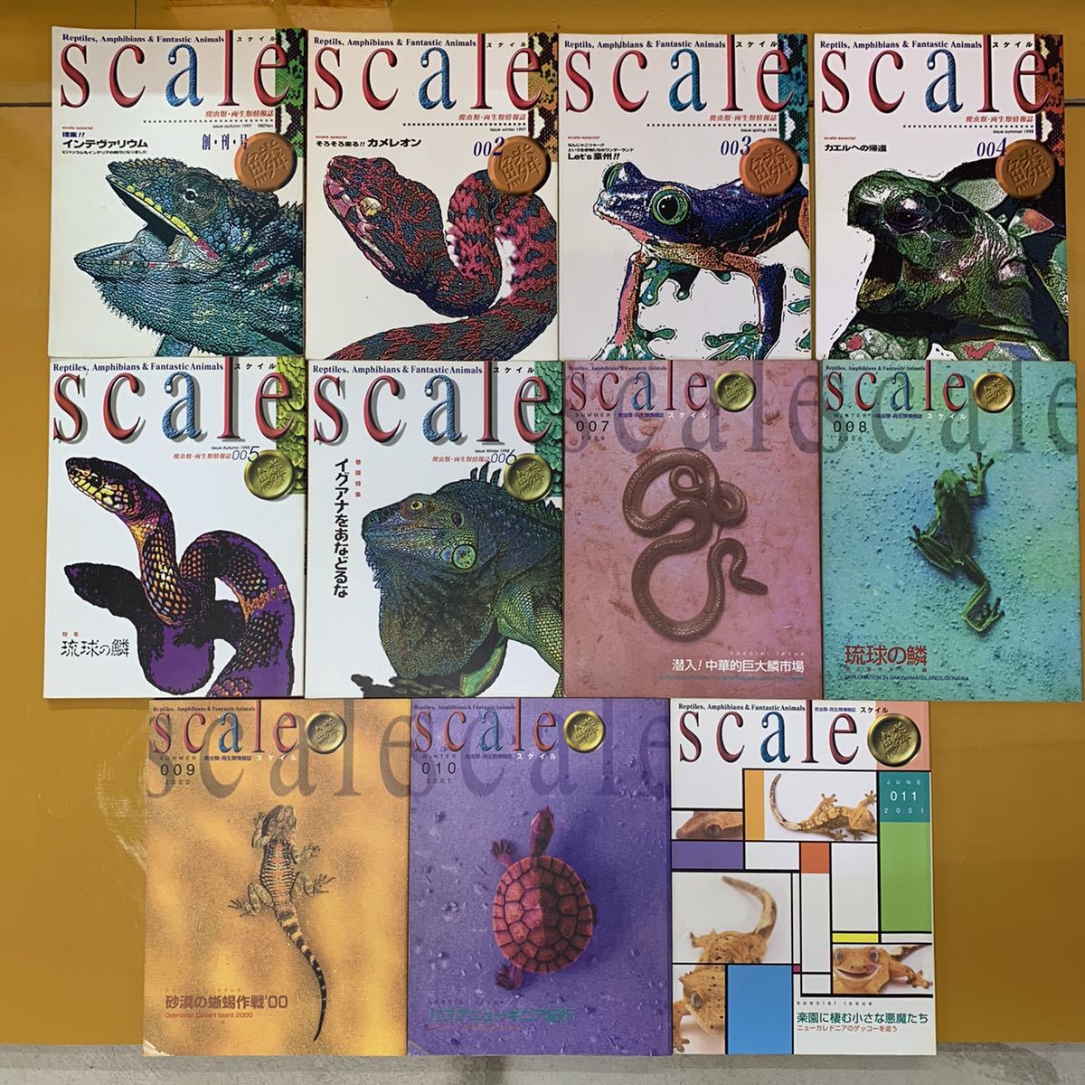 スケイル　Scale 爬虫類両生類情報誌 スケイル 爬虫類両生類情報誌 創刊号掲載001～011までの11冊セット