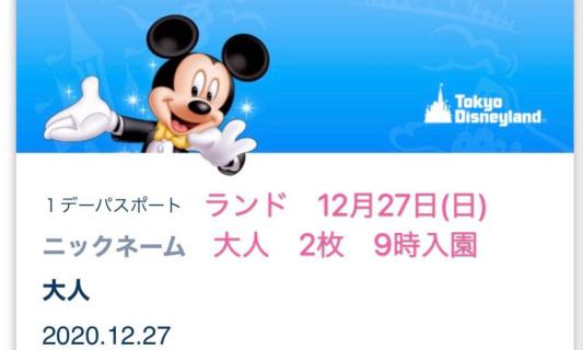 12 27 日 ディズニーランド 大人２枚 ペア ディズニーチケット 9 00入園 12月27日 ディズニーリゾート共通券 売買されたオークション情報 Yahooの商品情報をアーカイブ公開 オークファン Aucfan Com