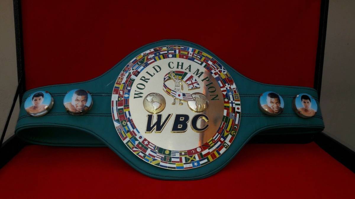人気SALE，人気 品 WBC チャンピオンベルト レプリカ ボクシング 海外製 大人サイズ ケースなし(その他)｜売買されたオークション情報、yahooの商品情報をアーカイブ公開 - オークファン その他