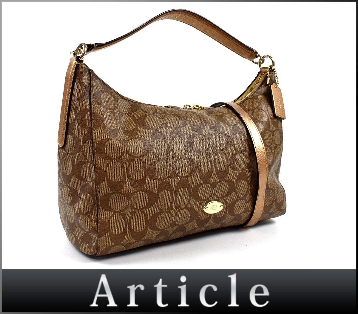 コーチ | ショルダーバッグ ホーボー シグネチャー COACH テリ 2WAY 
