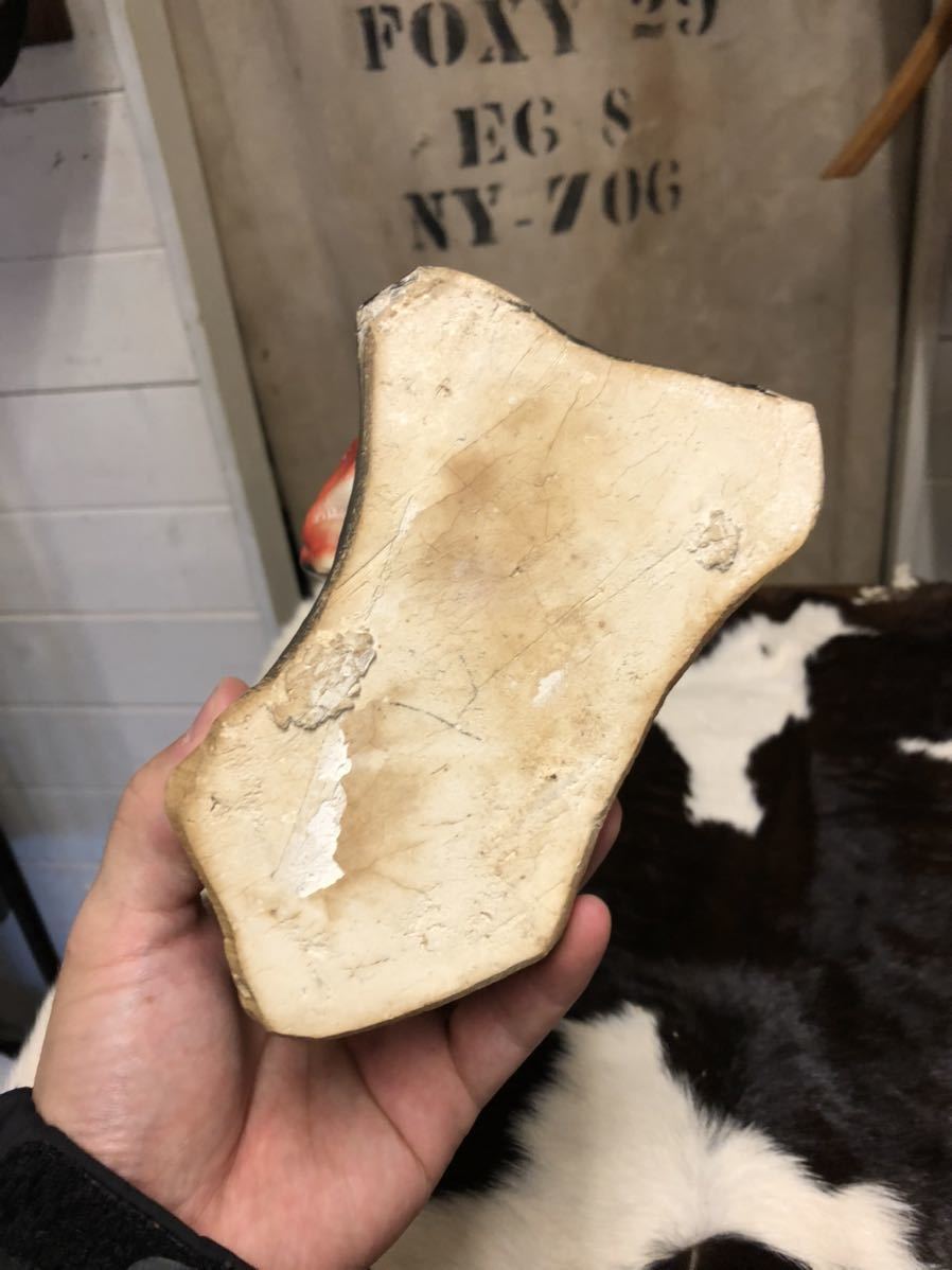 石膏 vintageブルドッグ 置物 【vintage】フレンチブル 石膏 店舗什器 antique ブロカント 古道具 アンティーク ヴィンテージ US 古着 雑貨 ブルドッグ dog 20s 30s 40s