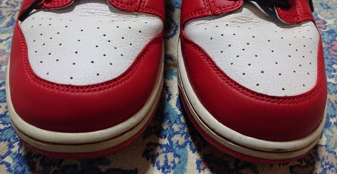 NIKE ナイキ ダンク ゴルフシューズ 26cm 限定品　練習場のみ使用_4