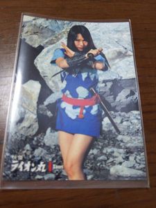 ライオン丸のYahoo!オークション(旧ヤフオク!)の相場・価格を見る