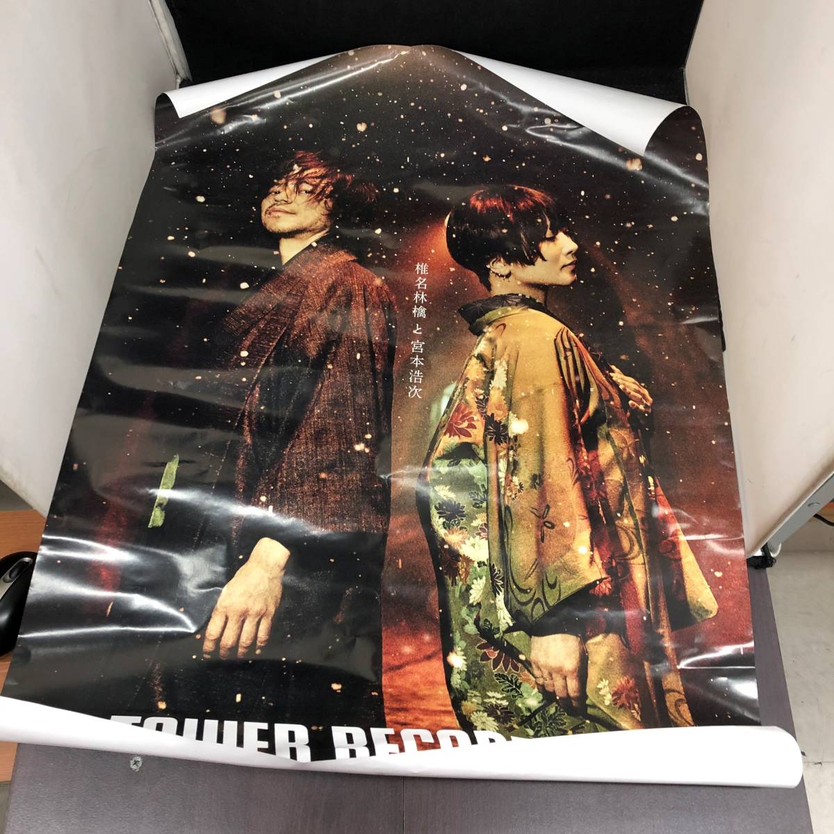椎名林檎と宮本浩次 TOWER RECORDS 獣ゆく細道 ポスター 椎名林檎 - 獣