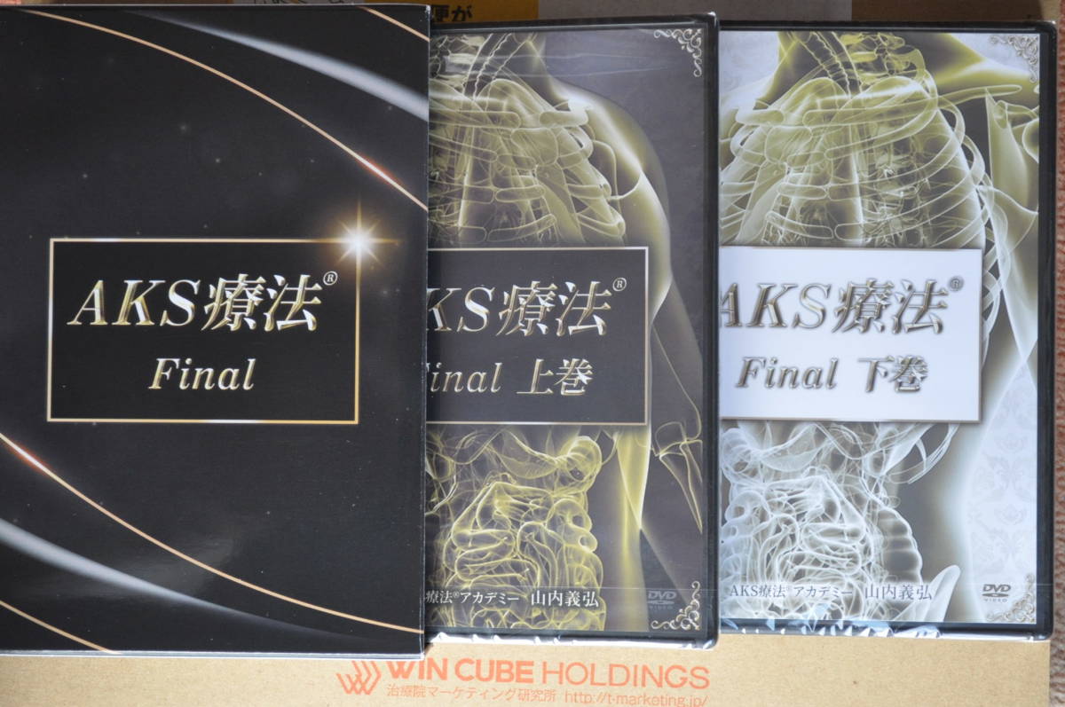 AKS療法 山内義弘 Final DVD 上巻下巻9枚セット 整体 筋膜リリース final