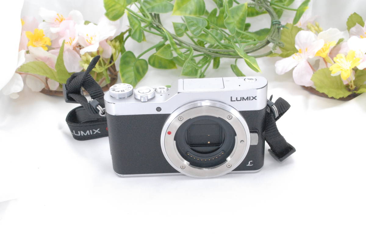 パナソニック LUMIX DC-GF9 Panasonic ミラーレス一眼カメラ ミラー