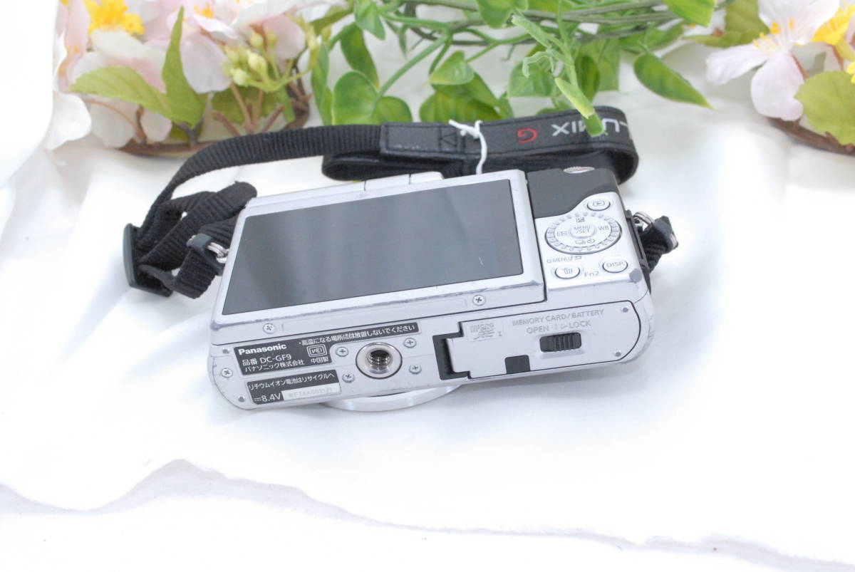 Panasonic LUMIX DC-GF9ミラーレス一眼 本体 バッグセット パナソニック LUMIX DC-GF9 Panasonic ミラーレス一眼カメラ ミラー