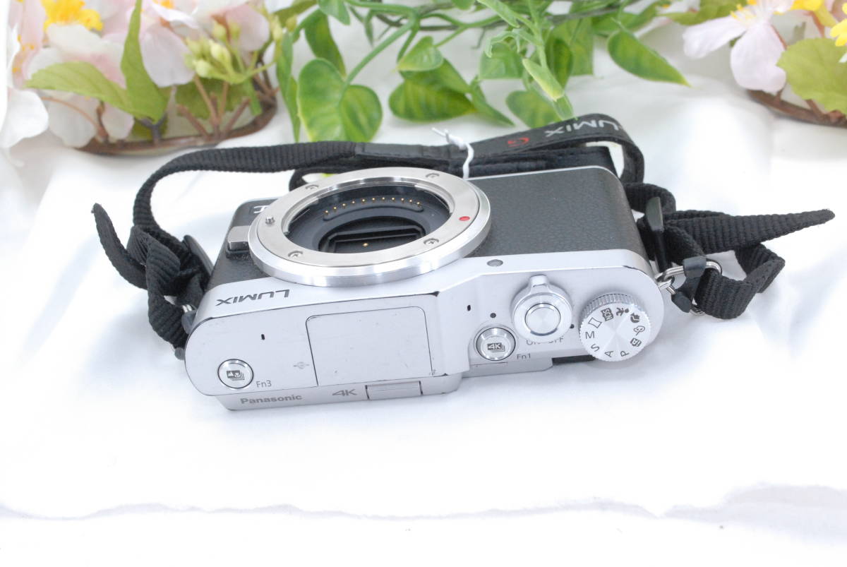 パナソニック LUMIX DC-GF9 Panasonic ミラーレス一眼カメラ ミラー