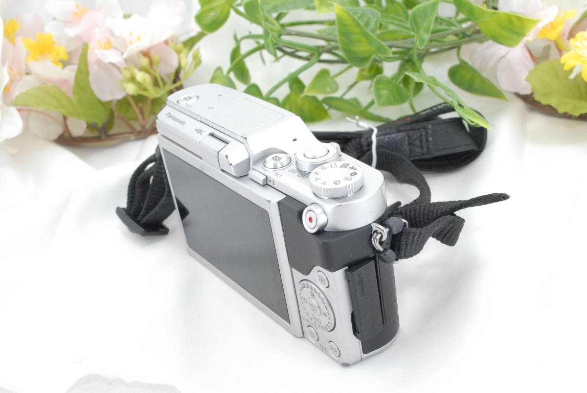 パナソニック LUMIX DC-GF9 Panasonic ミラーレス一眼カメラ ミラー