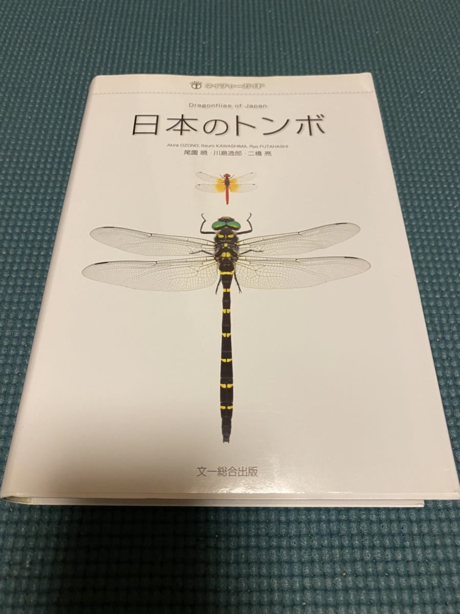 ネイチャーガイド 日本のトンボ 尾園暁 川島逸郎 二橋亮 ネイチャーガイド 日本のトンボ 尾園暁 川島逸郎 二橋亮 文一総合出版