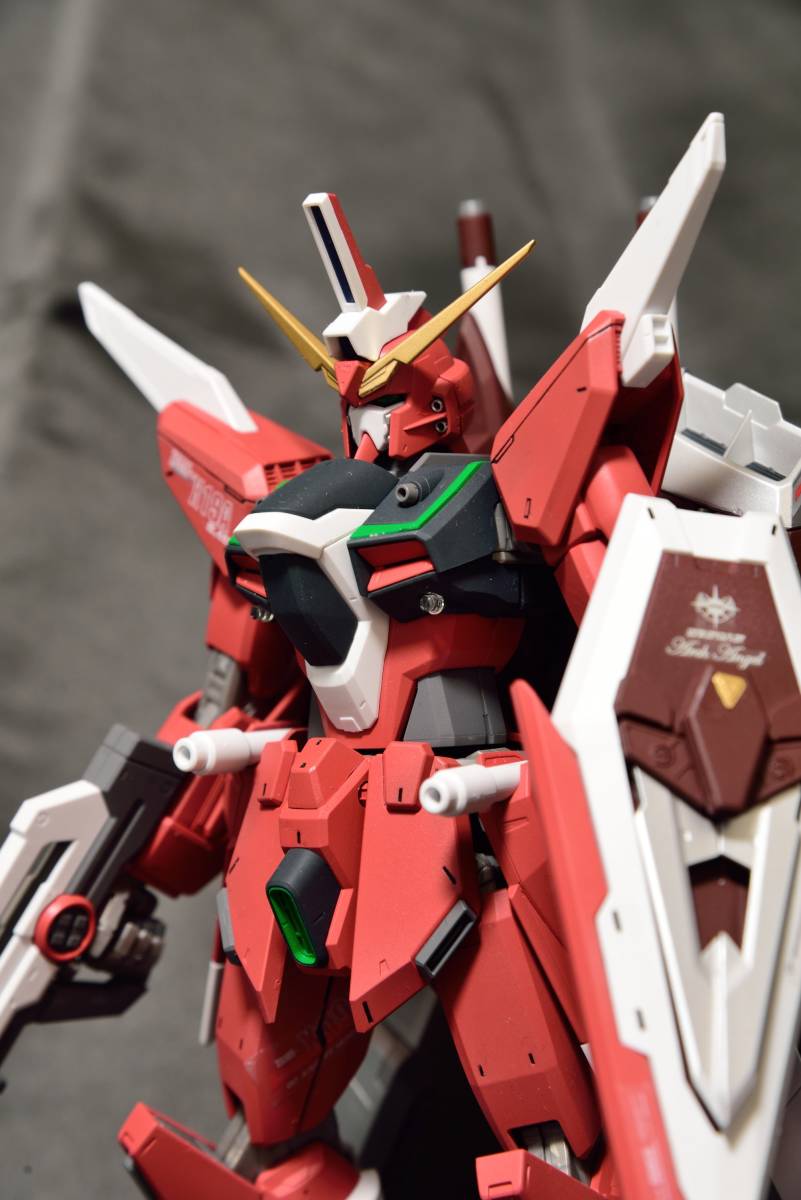 1/100 MG ZGMF-X19A インフィニットジャスティスガンダム 塗装完成品