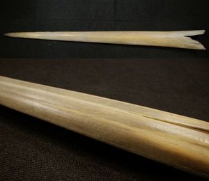 カジキ 角のYahoo!オークション(旧ヤフオク!)の相場・価格を見る