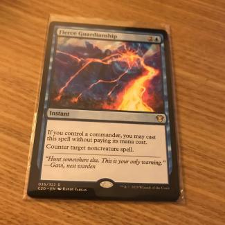MTG 激情の後見 MTG 激情の後見⁄Fierce Guardianship 英語版