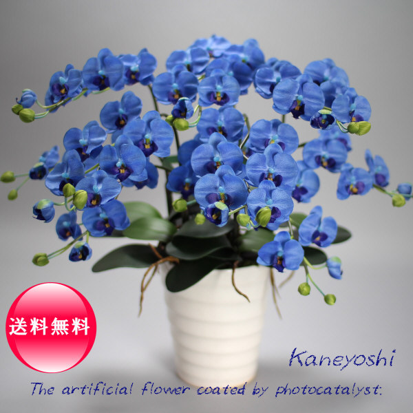 花の彩事季 大平栄子 ☆ 染 花 大平栄子 1 ☆ - 花の彩事季 大平栄子 |本 栄子 140ml