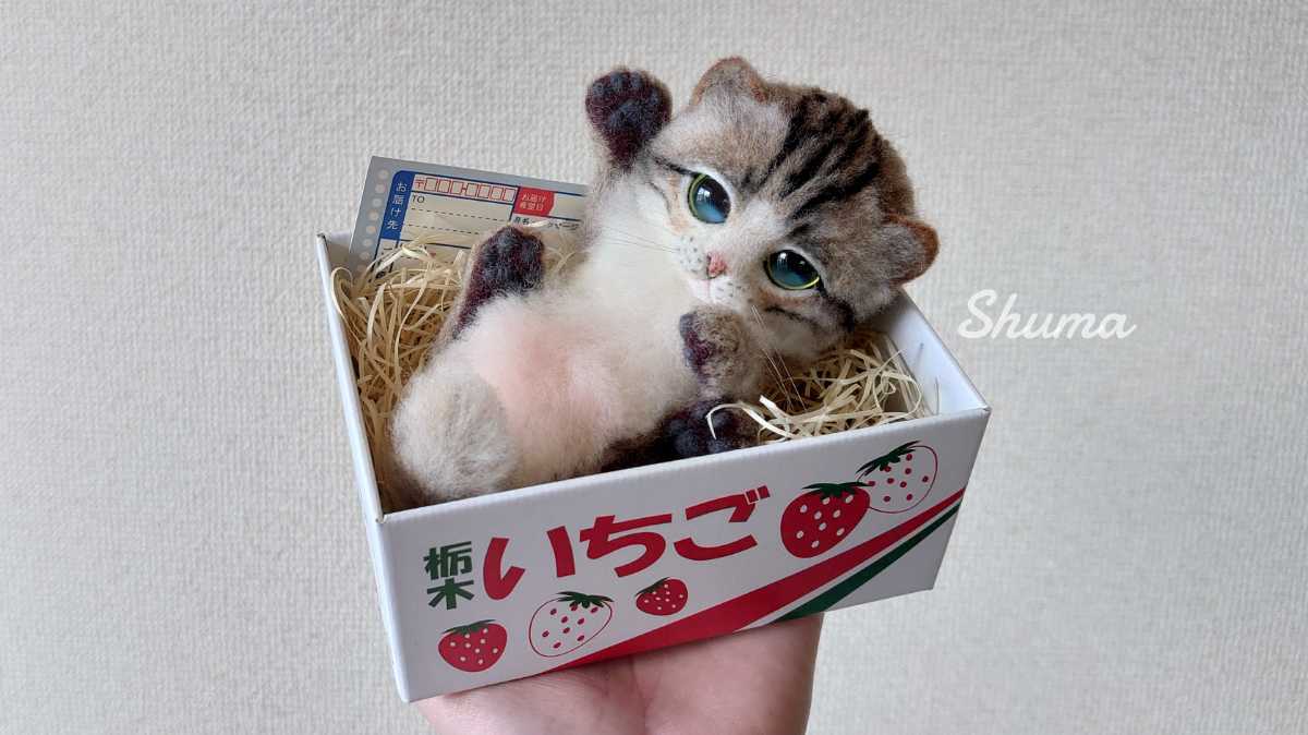 Shuma 羊毛フェルト キジトラ白 箱入り 猫 ハンドメイド ねこ ネコ 羊毛フェルト 売買されたオークション情報 Yahooの商品情報をアーカイブ公開 オークファン Aucfan Com Shuma 羊毛フェルト キジトラ白 箱入り 猫 ハンドメイド ねこ ネコ 羊毛フェルト 売買されたオークション情報 Yahooの商品情報をアーカイブ公開 オークファン Aucfan Com