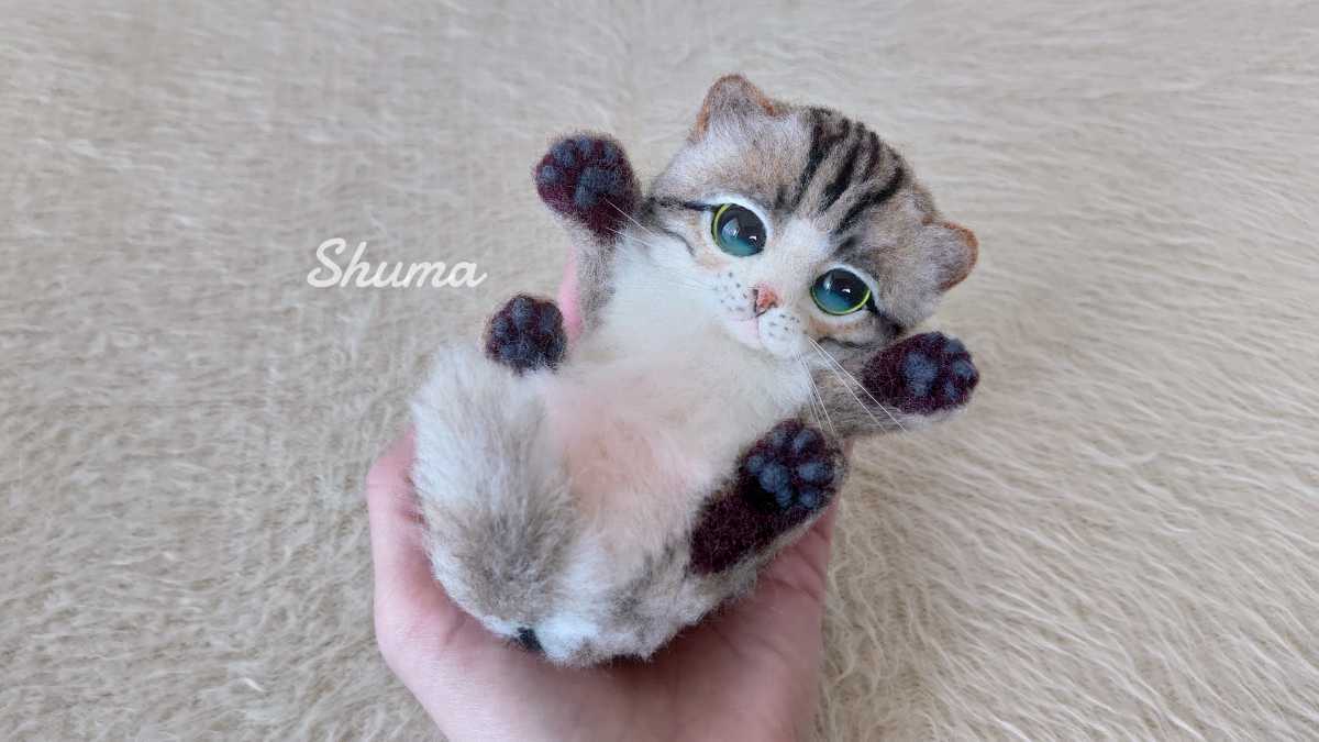 Shuma 羊毛フェルト キジトラ白 箱入り 猫 ハンドメイド ねこ ネコ 羊毛フェルト 売買されたオークション情報 Yahooの商品情報をアーカイブ公開 オークファン Aucfan Com Shuma 羊毛フェルト キジトラ白 箱入り 猫 ハンドメイド ねこ ネコ 羊毛フェルト 売買されたオークション情報 Yahooの商品情報をアーカイブ公開 オークファン Aucfan Com
