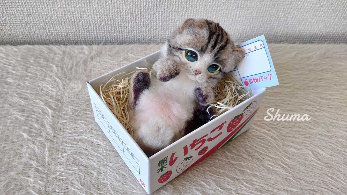 Shuma 羊毛フェルト キジトラ白 箱入り 猫 ハンドメイド ねこ ネコ 羊毛フェルト 売買されたオークション情報 Yahooの商品情報をアーカイブ公開 オークファン Aucfan Com Shuma 羊毛フェルト キジトラ白 箱入り 猫 ハンドメイド ねこ ネコ 羊毛フェルト 売買されたオークション情報 Yahooの商品情報をアーカイブ公開 オークファン Aucfan Com