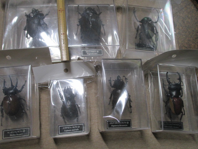 デアゴスティーニ 世界の昆 Date Book 等身大 標本 フィギュア カブトムシ クワガタ 7種 生き物 売買されたオークション情報 Yahooの商品情報をアーカイブ公開 オークファン Aucfan Com