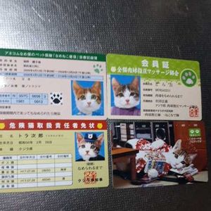 なめ猫 カードのヤフオク の相場 価格を見る ヤフオク のなめ猫 カードのオークション売買情報は34件が掲載されています