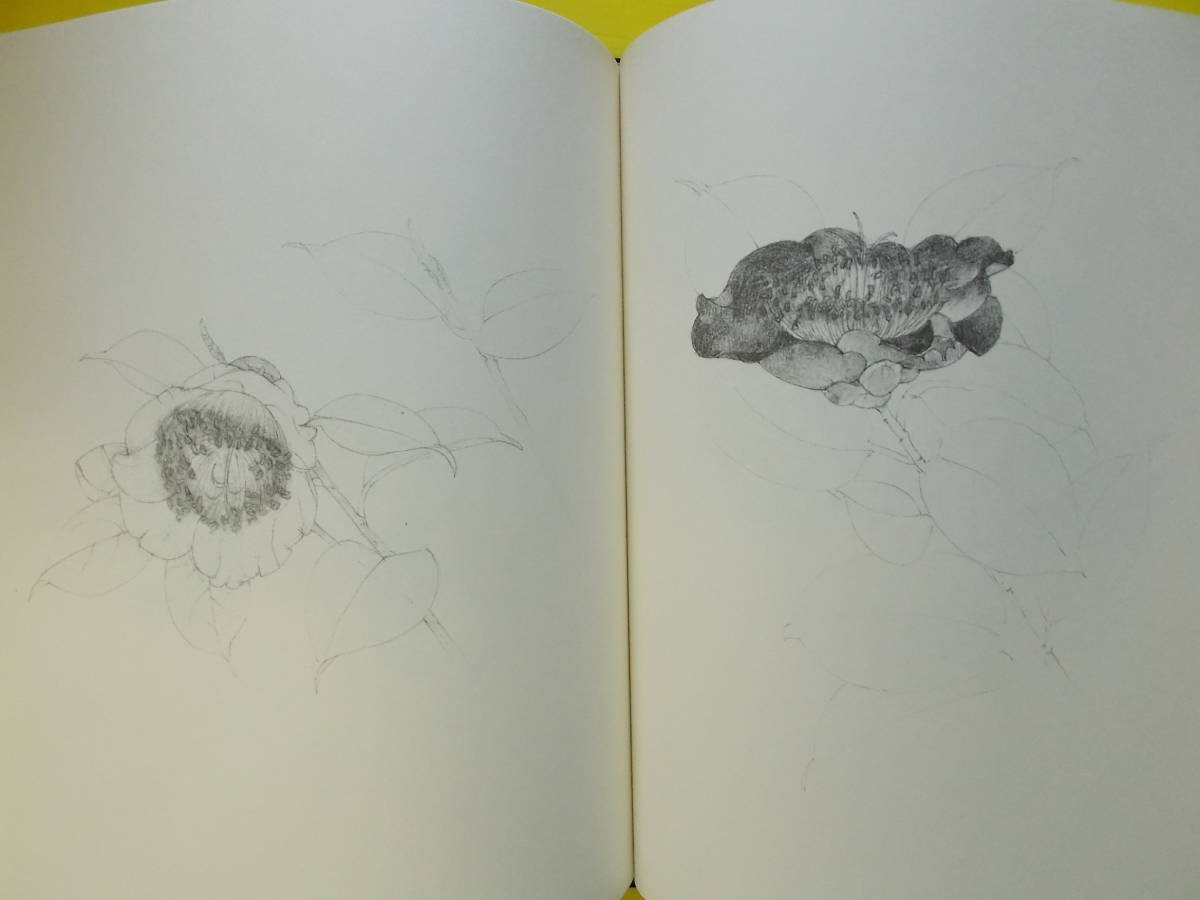 大野俶嵩画集ー花に祈る 京都書院