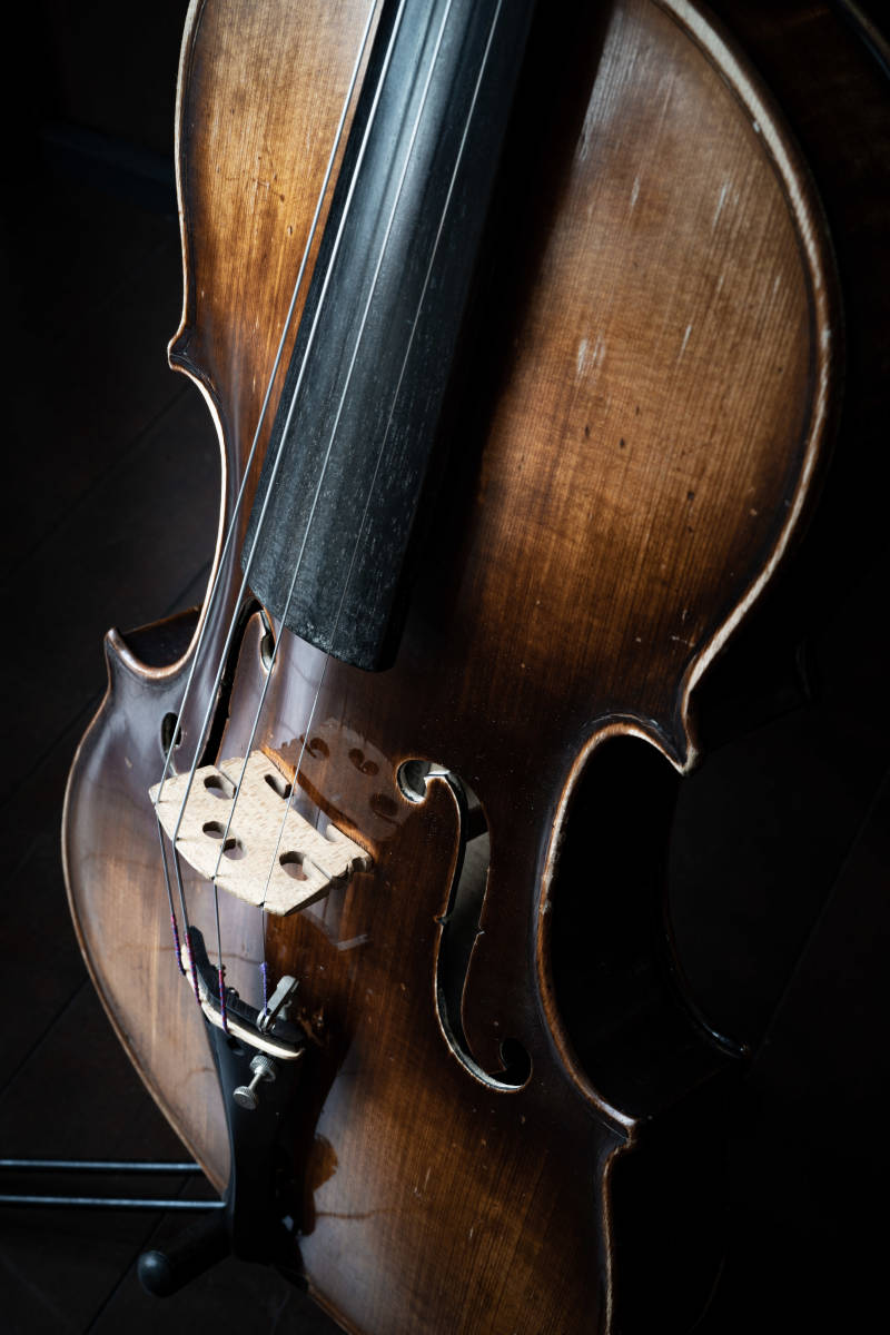 Giulio Degani 1896 Venezia バイオリン 4/4 弓 ケースセット Giulio