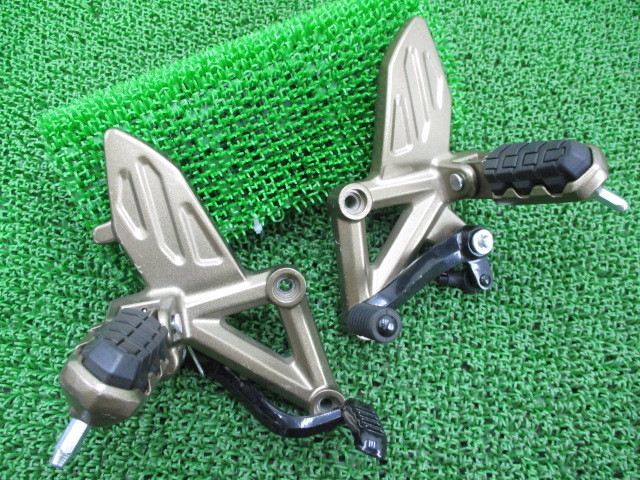 ラズベリー苗 Tulameen（トゥラミーン）分け株 H72834310 卸売り