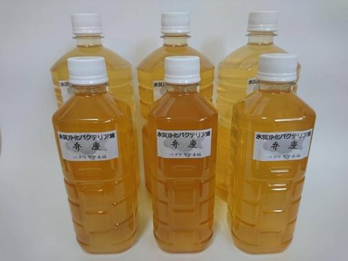 2 5l 弁慶 水質浄化バクテリア液 販売実績1位バクテリア本舗 らんちゅう 金魚 錦鯉 めだか グッピー シュリンプ アロワナ 海水魚他 バクテリア 売買されたオークション情報 Yahooの商品情報をアーカイブ公開 オークファン Aucfan Com