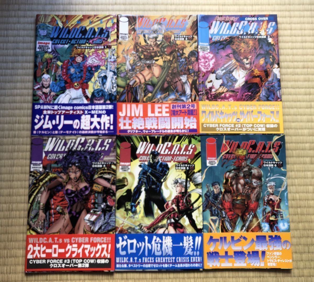 ヴィレッジブックス 】DC:ニューフロンティア 下 (DC COMICS)