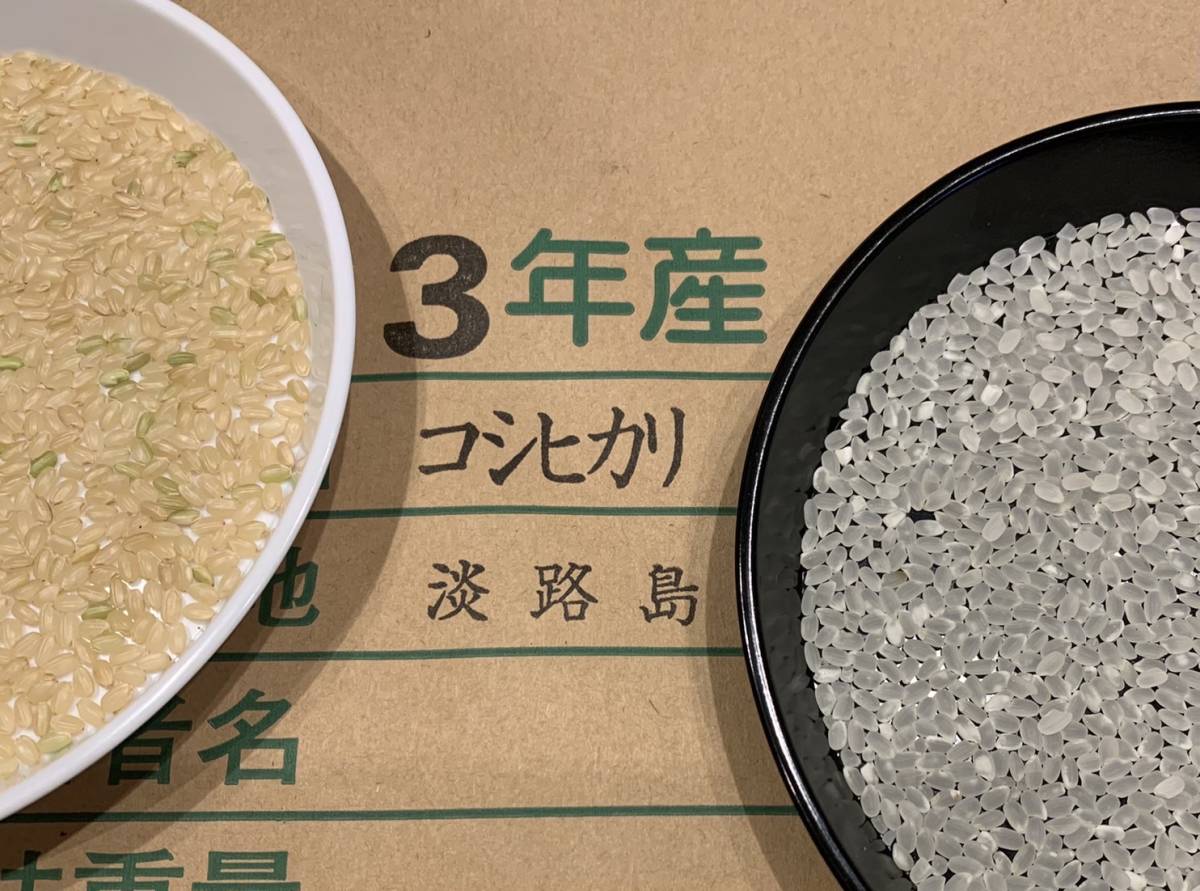 30kg コシヒカリ 新米 淡路島産：兵庫県産のお米 玄米30キロ 令和