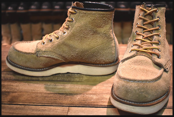 RED WING 8173 レッドウィングアイリッシュセッター 呆気ない 犬タグ