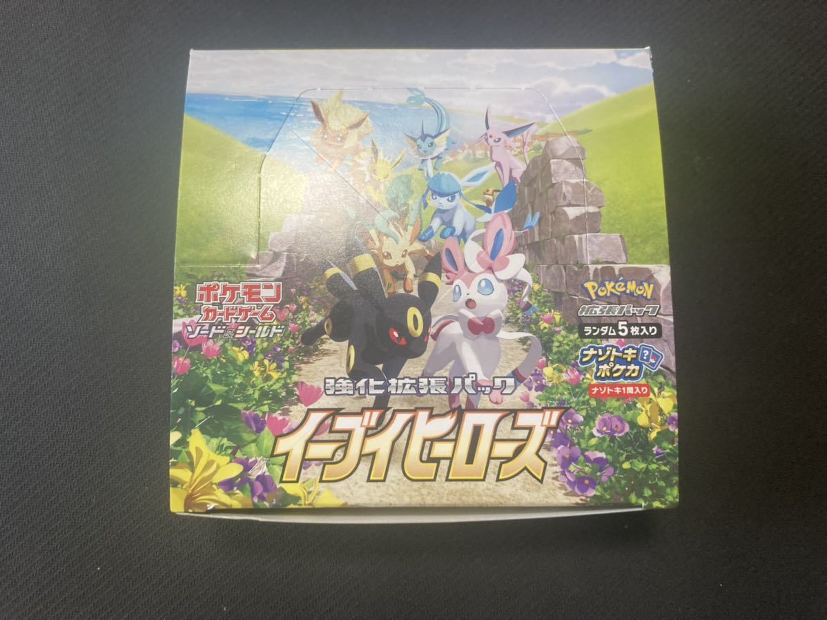 遊戯王 5D's 英語版 Duelist Pack Collection不動遊星 遊戯王 5D's