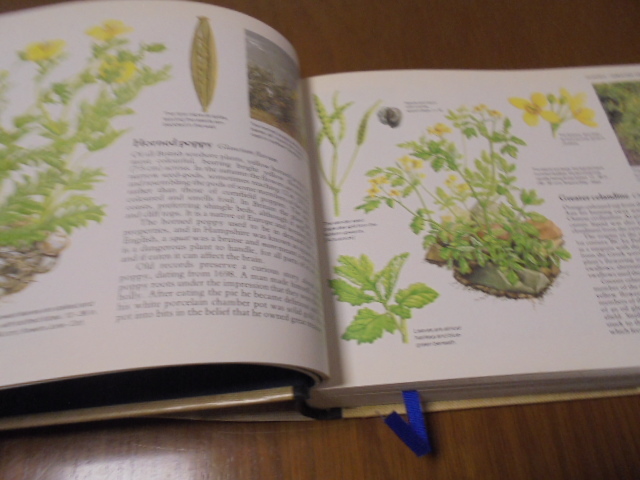洋書 ワイルドフラワー 植物図鑑 イギリス 村 2冊 WILD FLOWERS | 古書