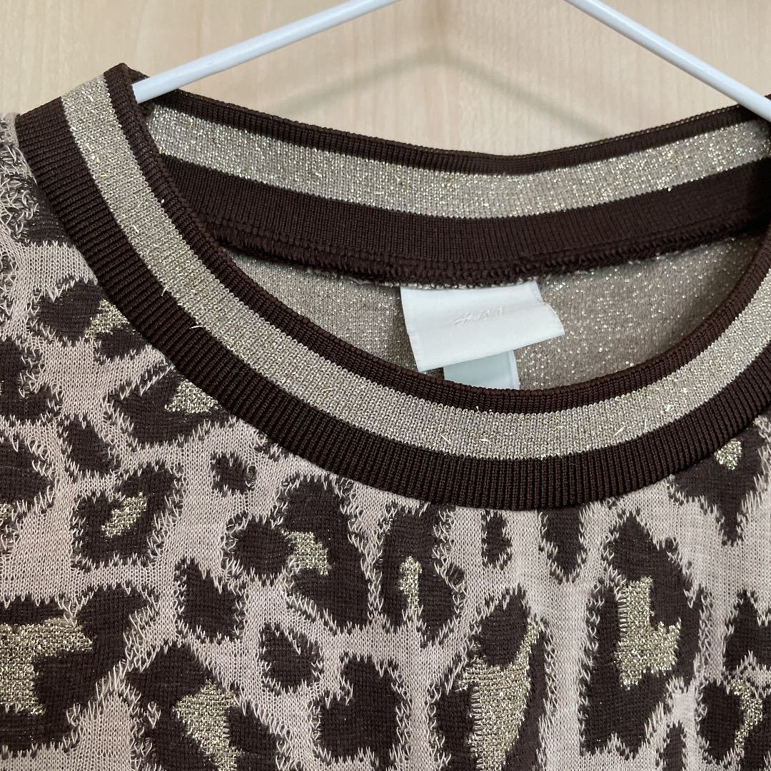 H M 170サイズ レオパード柄ロングワンピース 豹柄 Lサイズ 売買されたオークション情報 Yahooの商品情報をアーカイブ公開 オークファン Aucfan Com