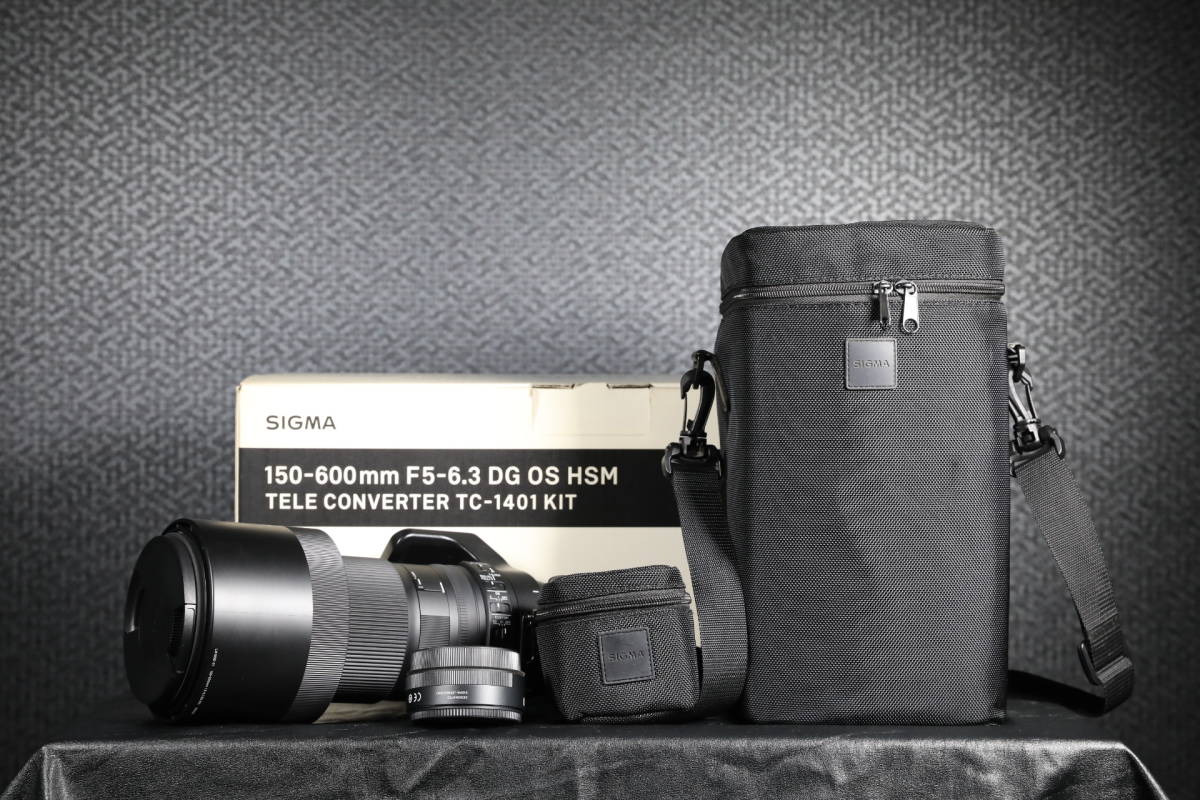 F5-6.3 DG 150-600mm OS | HSM SIGMA DN シグマ Sports シグマ150-600mm EF