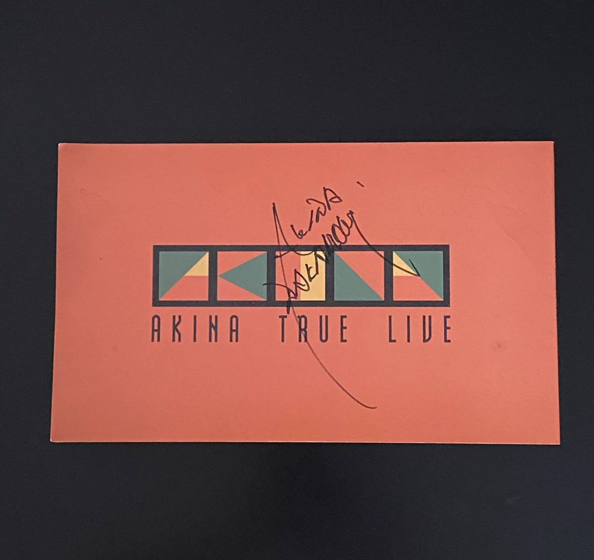 パンフレット 中森明菜 TRUE LIVE (1995年) ☆貴重☆ 中森明菜 1995年