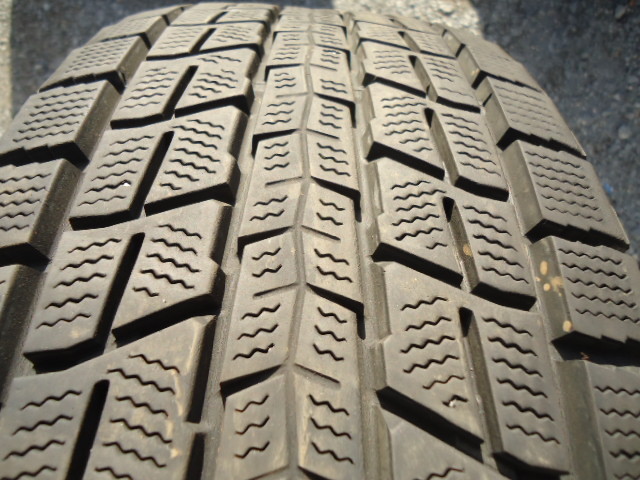 g1019223550.5