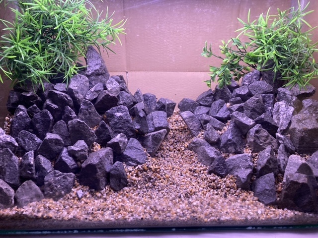 6 大量 清源石8キロ約60個 多く石を使う方に 検 滝 山岳 レイアウト 熱帯魚 水槽 アクアリウム 清流石 龍王石 水槽装飾品 売買されたオークション情報 Yahooの商品情報をアーカイブ公開 オークファン Aucfan Com