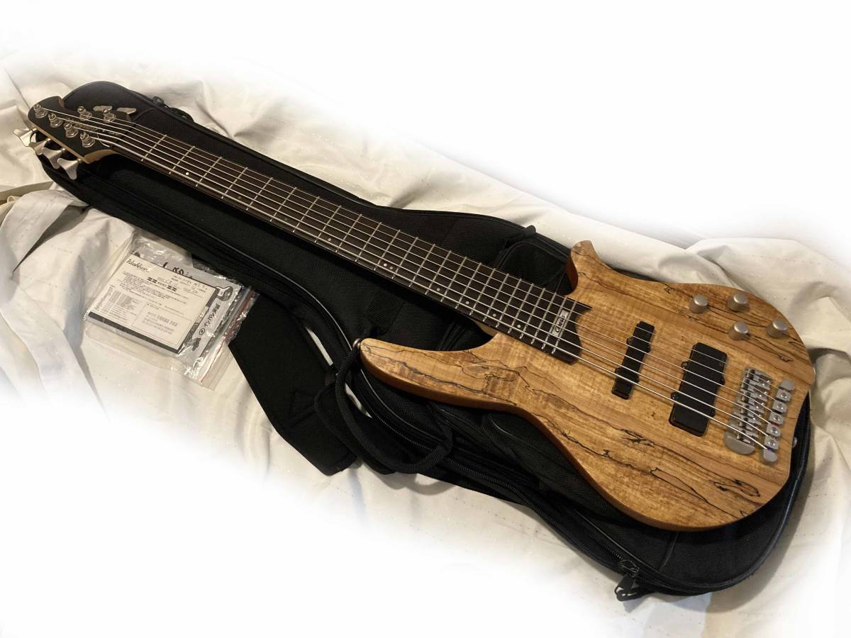 ♪レア♪Washburn CB-16SP 6弦ベース エレキベース 【公式通販】