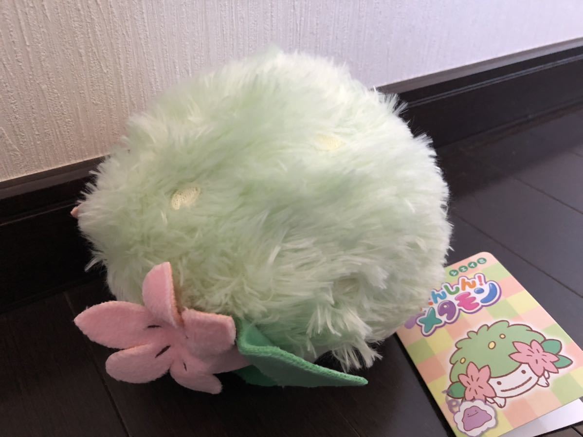 ポケモンセンター限定 ぬいぐるみ へんしん！メタモン シェイミ 