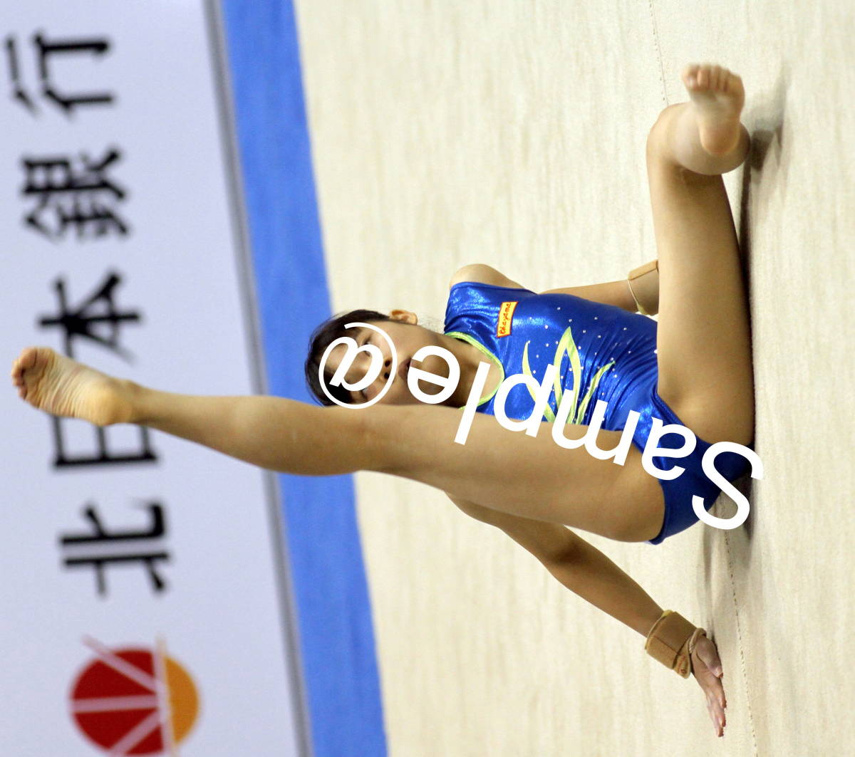 2016年国民体育大会女子体操 高画質デジタル写真集完全セット （3456