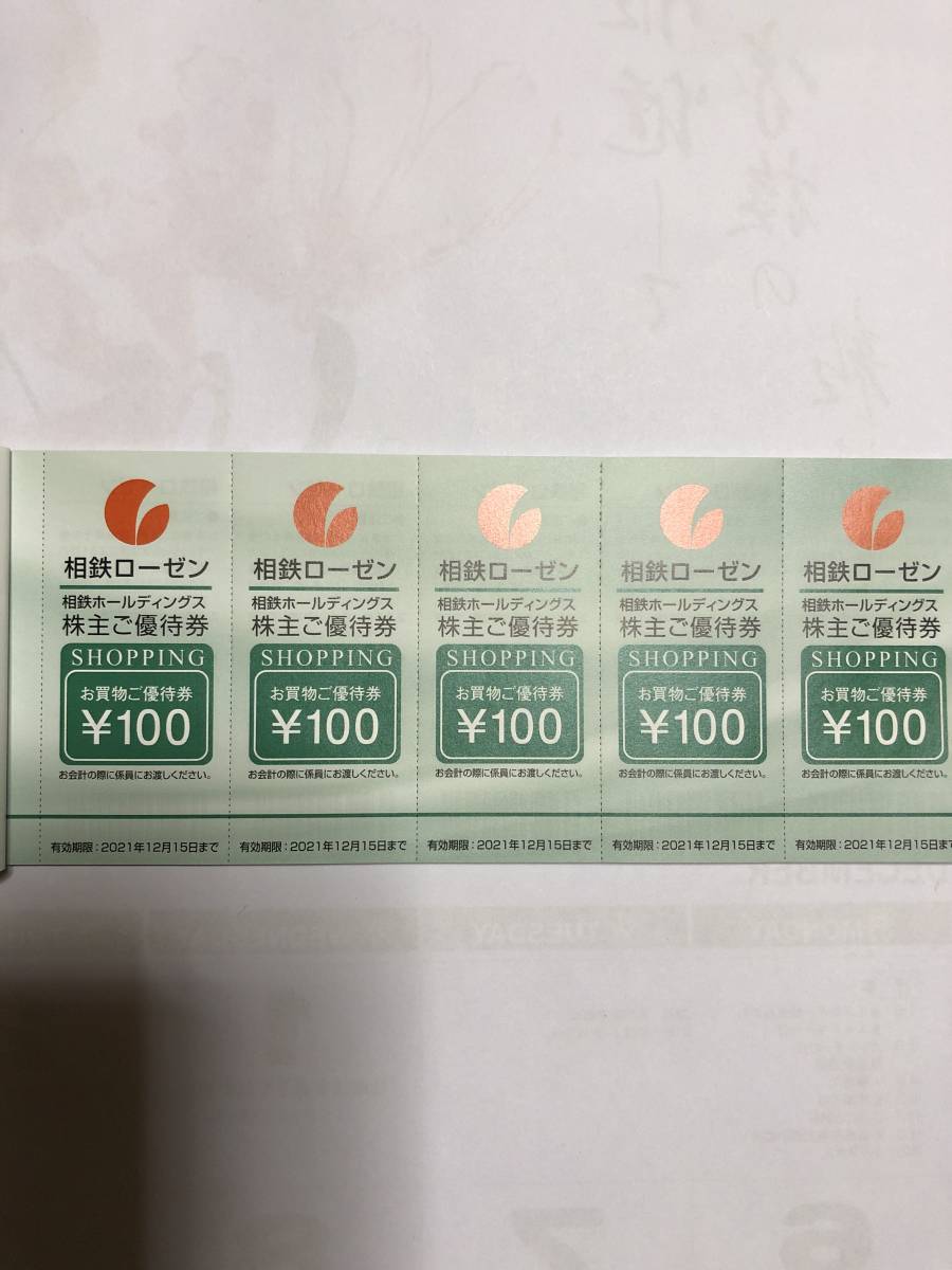 ◇相鉄ホールディングス株主優待券のセット◇相鉄グループで利用できる優待券が色々ありとってもお得！_2