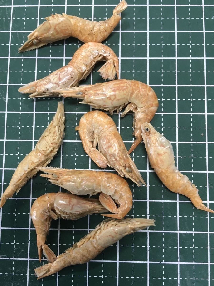 1袋 富城物産カンシャ1g 乾燥エビ クリル 肉食魚 アロワナ 淡水エイ ナマズなど カメの餌 エサ 売買されたオークション情報 Yahooの商品情報をアーカイブ公開 オークファン Aucfan Com 1袋 富城物産カンシャ1g 乾燥エビ クリル 肉食魚 アロワナ 淡水エイ ナマズなど カメの餌 エサ 売買されたオークション情報 Yahooの商品情報をアーカイブ公開 オークファン Aucfan Com