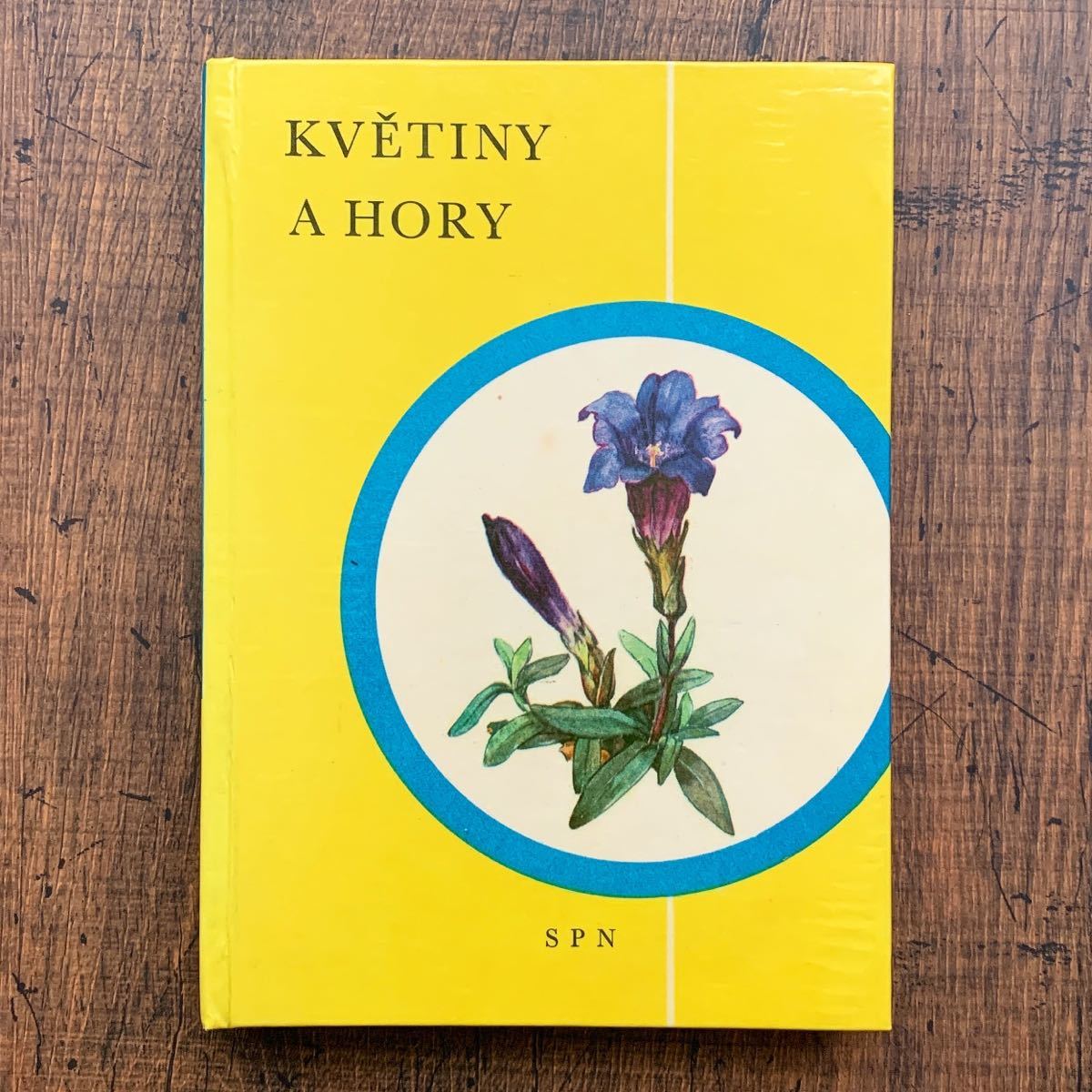 チェコの古い植物図鑑(KVETINY A HORY 1966年)/アンティーク ヴィンテージ 植物画 花 洋書 ボタニカルアート 雰囲気◎/