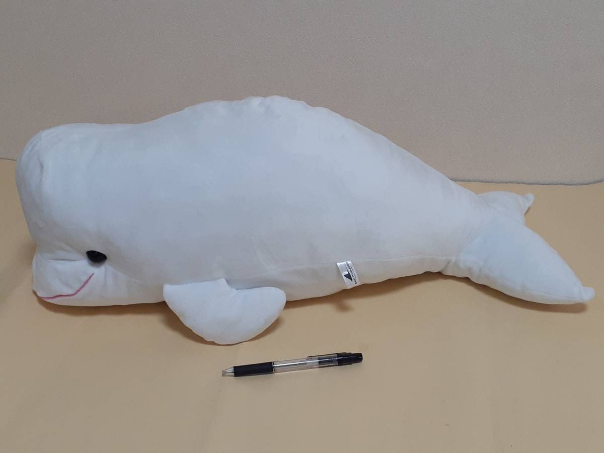 シロイルカ Big ぬいぐるみ 白いるか サイズ63cm 八景島シーパラダイス 動物 売買されたオークション情報 Yahooの商品情報をアーカイブ公開 オークファン Aucfan Com