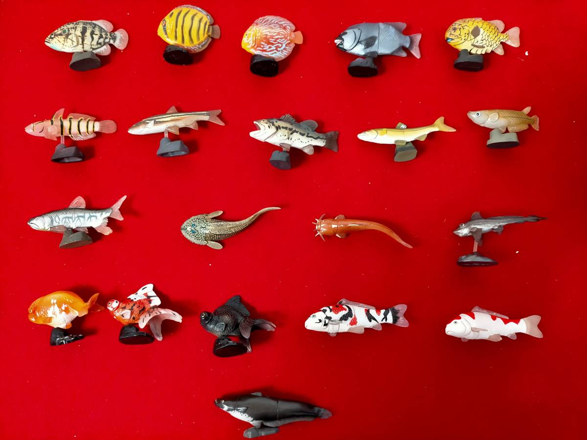 チョコエッグ 海洋堂 魚 海洋生物等 20個セット(生き物)｜売買された  