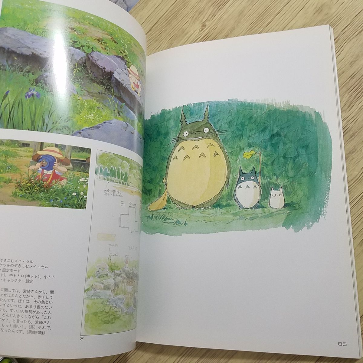 アニメ系 The Art Of Totoro となりのトトロ 設定資料集 ジブリthe Artシリーズ 送料180円 原画 設定資料集 売買されたオークション情報 Yahooの商品情報をアーカイブ公開 オークファン Aucfan Com