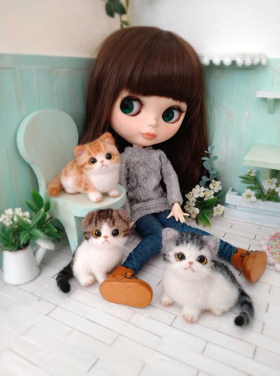 ミニ猫 すず 羊毛フェルト猫 ブライスペット ドールペット 1 6 ドールハウス エキゾチック 猫 羊毛フェルト 売買されたオークション情報 Yahooの商品情報をアーカイブ公開 オークファン Aucfan Com
