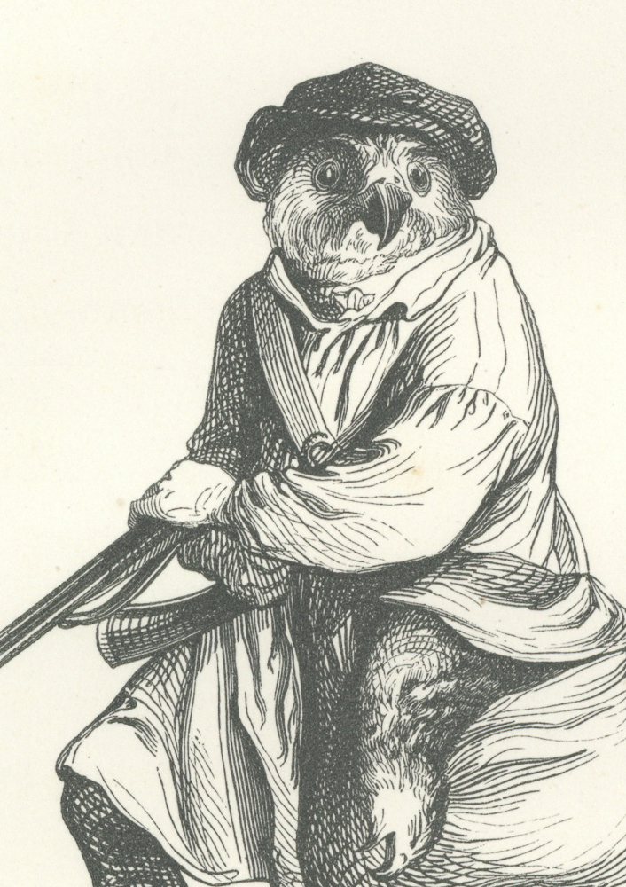 J.J. Grandville 動物たちの私生活・公生活の情景 額装 中国 猫