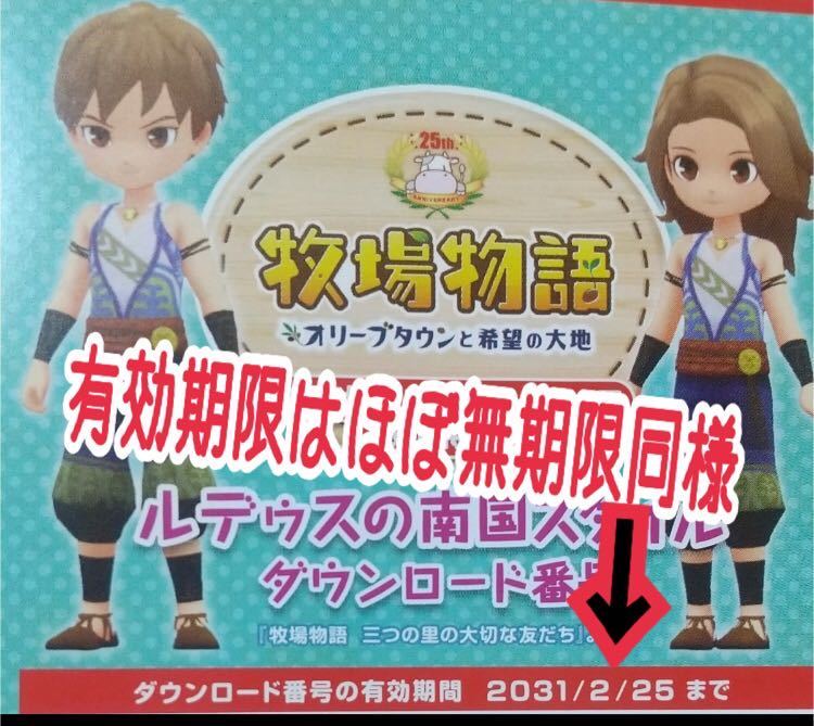 Switch 牧場物語 オリーブタウンと希望の大地 古本市場特典 ルデゥスの南国スタイル ダウンロード番号 Dlc コード スイッチ ニンテンドースイッチアクセサリー 売買されたオークション情報 Yahooの商品情報をアーカイブ公開 オークファン Aucfan Com